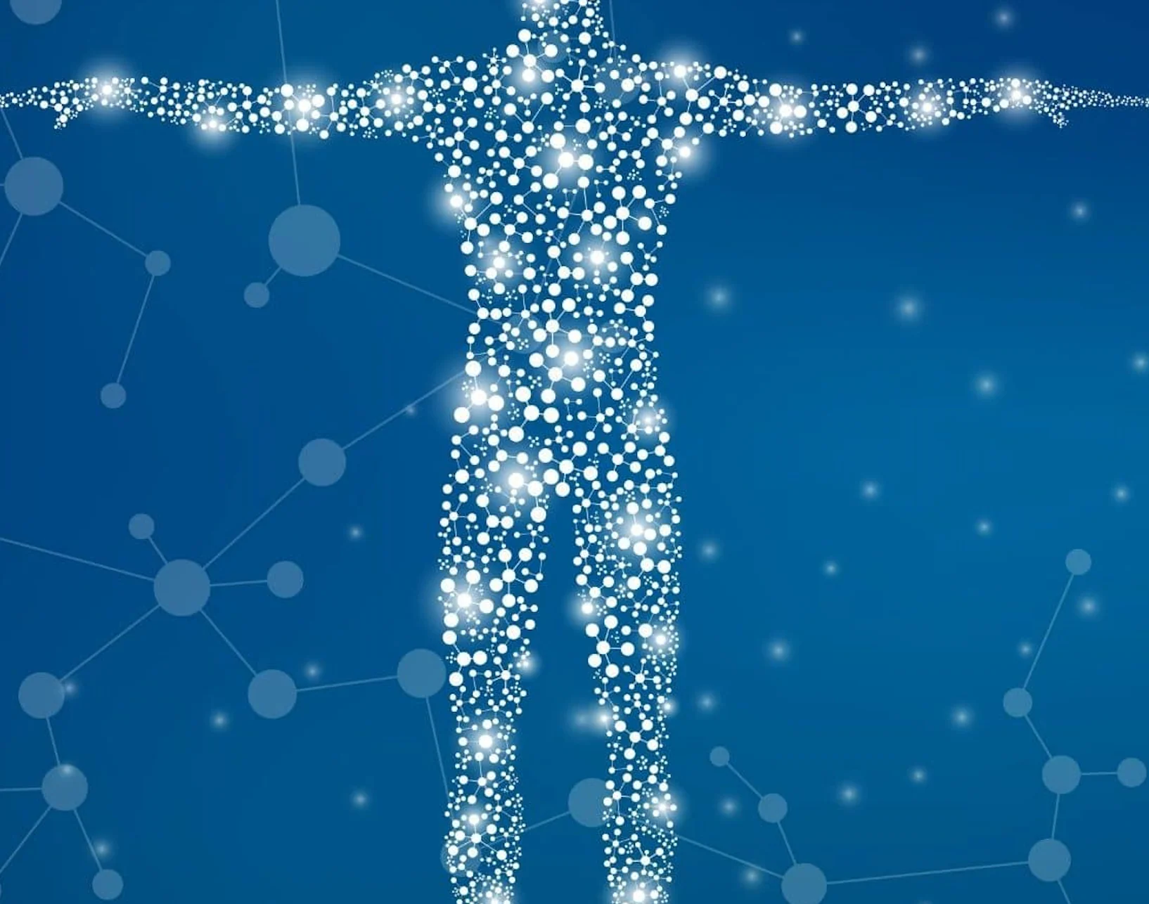 The endocannabinoid system